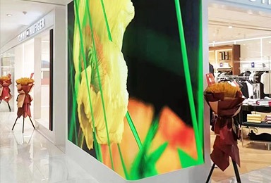 hongkong - Commercial Indoor & Outdoor LED Displays Factory - D-King